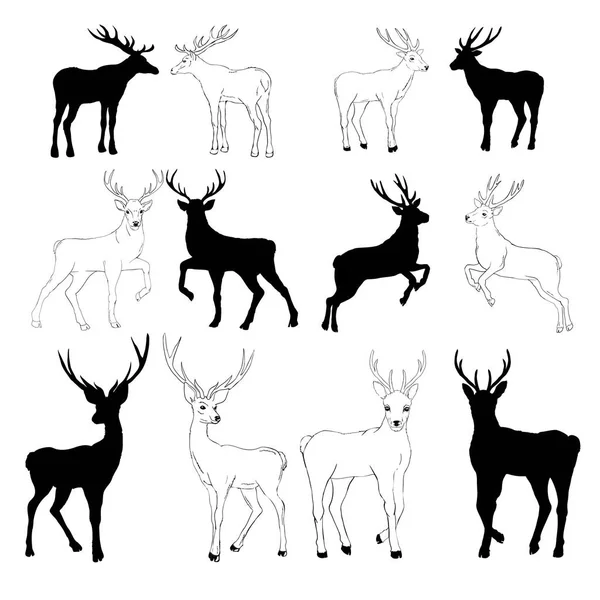 鹿のシルエットとスケッチ ベクトル イラスト 白い背景 動物イメージの設定 ロイヤリティフリーのストックイラスト