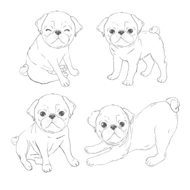 Pug vektör resimlerini kümesidir. Beyaz bir arka plan üzerinde izole nesneleri.