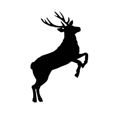 geyik siluetleri, vektör, illüstrasyon, beyaz arka plan üzerinde izole