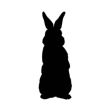 siluet tavşan - vektör çizim