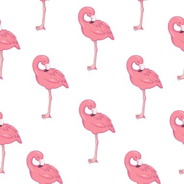 Tropikal flamingo model, illüstrasyon, vektör, şirin kuş