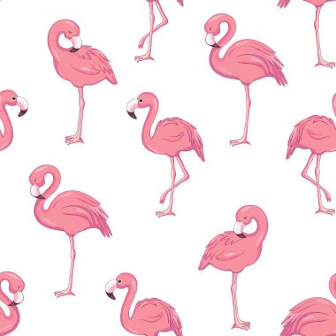Tropikal flamingo model, illüstrasyon, vektör, şirin kuş