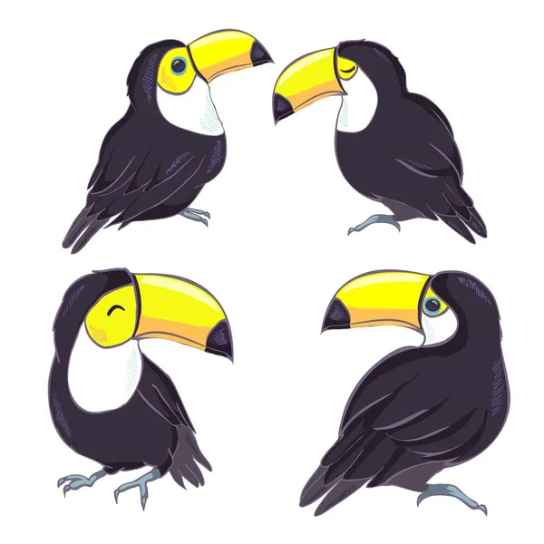 Uma Boa Ilustração Tucano Formato Vetorial Imagem Pássaro Tucano Bonito — Vetor de Stock