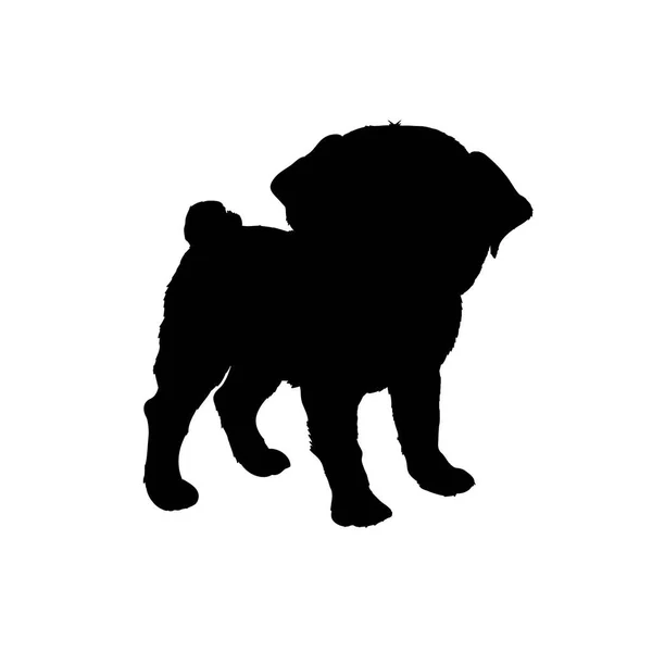 Chien Race Pug Silhouette Vectorielle Isolée — Image vectorielle