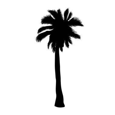 Siyah vektör tek palmiye ağacı siluet simge izole
