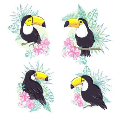 Bir Toucan 'ın vektör formatında iyi bir çizimi. Çocuk kıyafetleri için şirin bir Toucan kuş resmi..