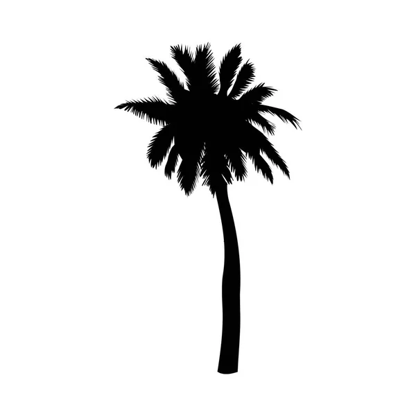 Siyah Vektör Tek Palmiye Ağacı Siluet Simge Izole — Stok Vektör