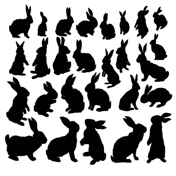 Tavşan Ayarla Izole Beyaz Arka Plan Tavşan Siluet — Stok Vektör