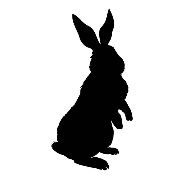 Silhouette Lapin Illustration Vectorielle — Image vectorielle