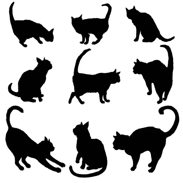 Ensemble Chats Silhouettes Sur Fond Blanc — Image vectorielle