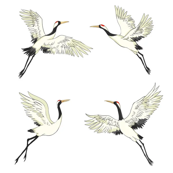 Set Grúa Ilustración Pájaro Vuelo Elemento Diseño Vector — Archivo Imágenes Vectoriales