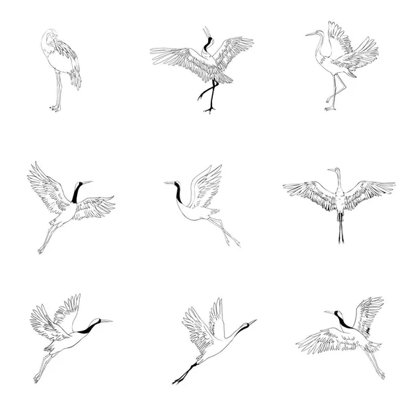 Croquis Grue Oiseau Volant Sur Fond Blanc Ensemble Silhouette Illustration — Image vectorielle