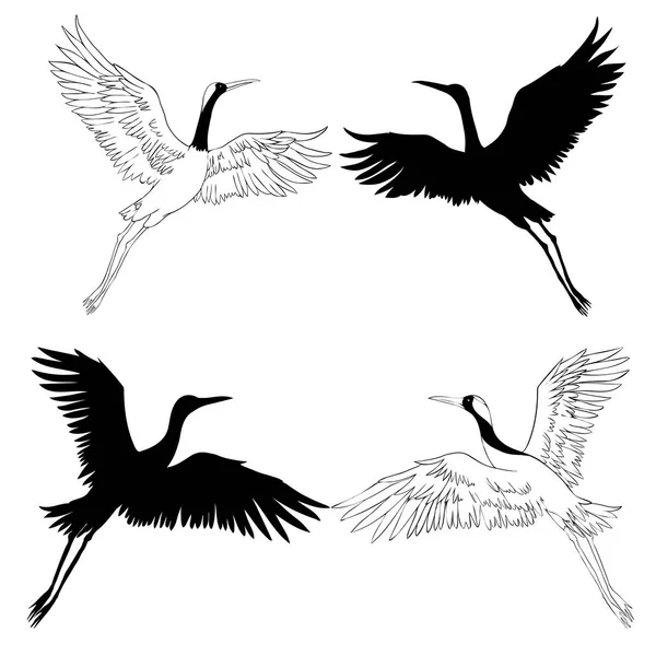 Kraan Schets Vogels Vliegen Witte Achtergrond Set Silhouet Vectorillustratie — Stockvector