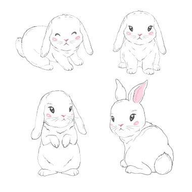 Sevimli tavşan, vektör, illüstrasyon