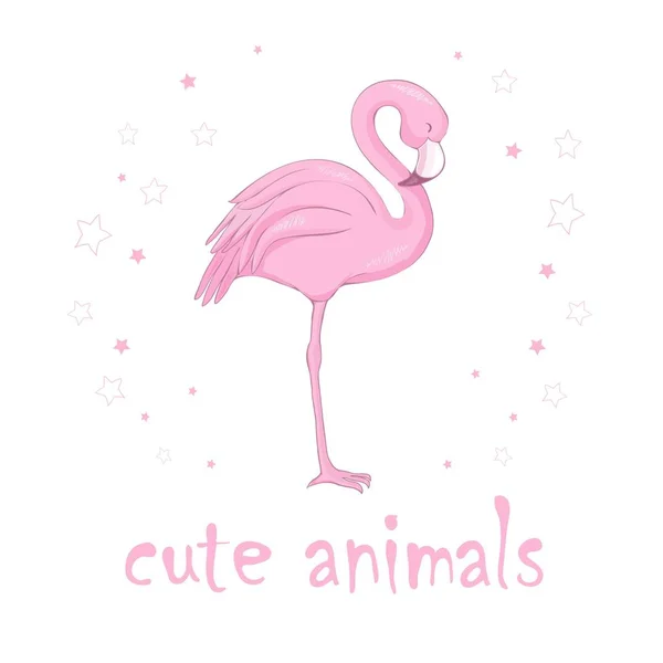 Flamingo Vogel Afbeelding Ontwerp Achtergrond — Stockvector