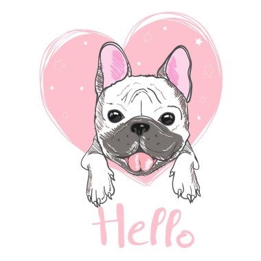 Pug köpek çizgi film illüstrasyon. Pug köpek yavrusu, dilini çıkarmış gülümseyerek oturan sevimli dost şişman tombul açık kahverengi. Evcil Hayvan, köpek severler, hayvan temalı tasarım öğesi üzerinde beyaz izole.
