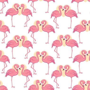 Vektör flamingolar ile seamless modeli