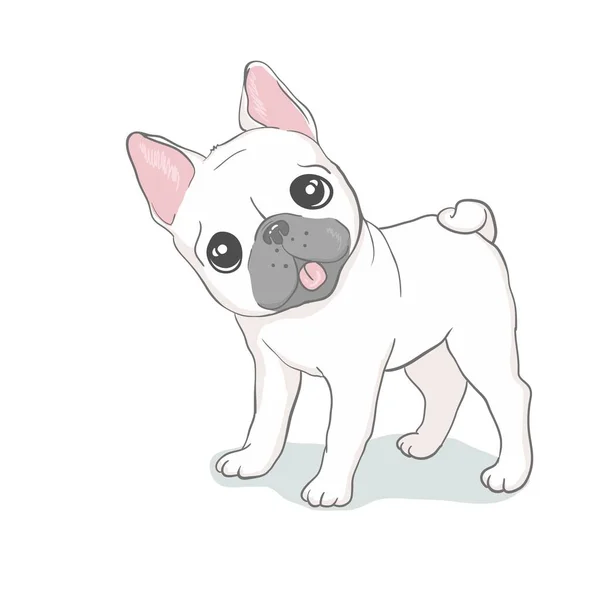 Französische Bulldogge Kopf isoliert auf weißem Hintergrund. Vektorillustration — Stockfoto