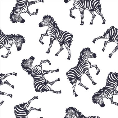 Zebra deseni, çocuk safari izi.