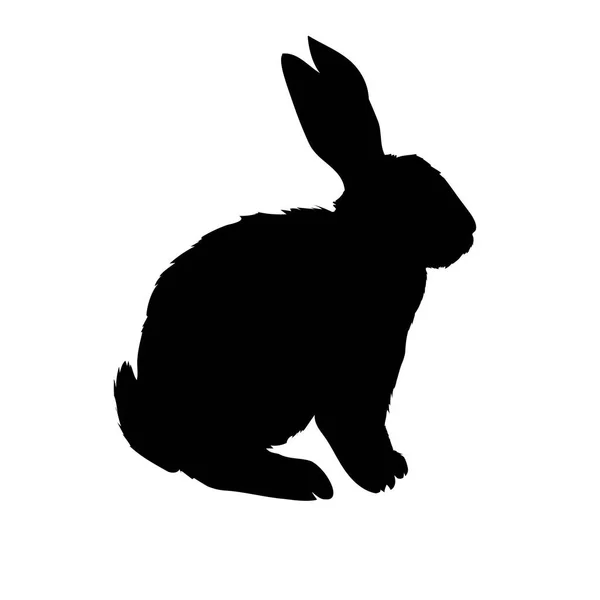 Silhueta de coelho - ilustração vetorial — Fotografia de Stock