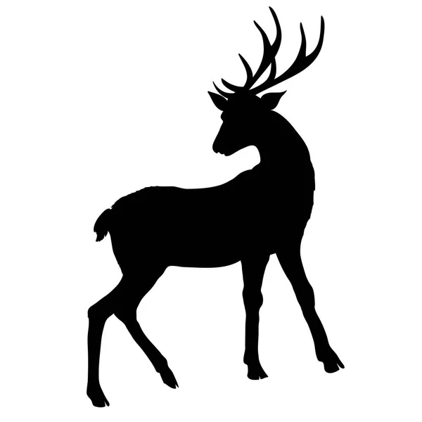 Silhouette di cervo, vettore, illustrazione — Foto Stock