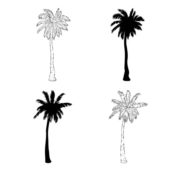 Tasarım için beyaz arka planda izole farklı şekillerde palmiye ağaçları vektör siluetleri seti — Stok Vektör