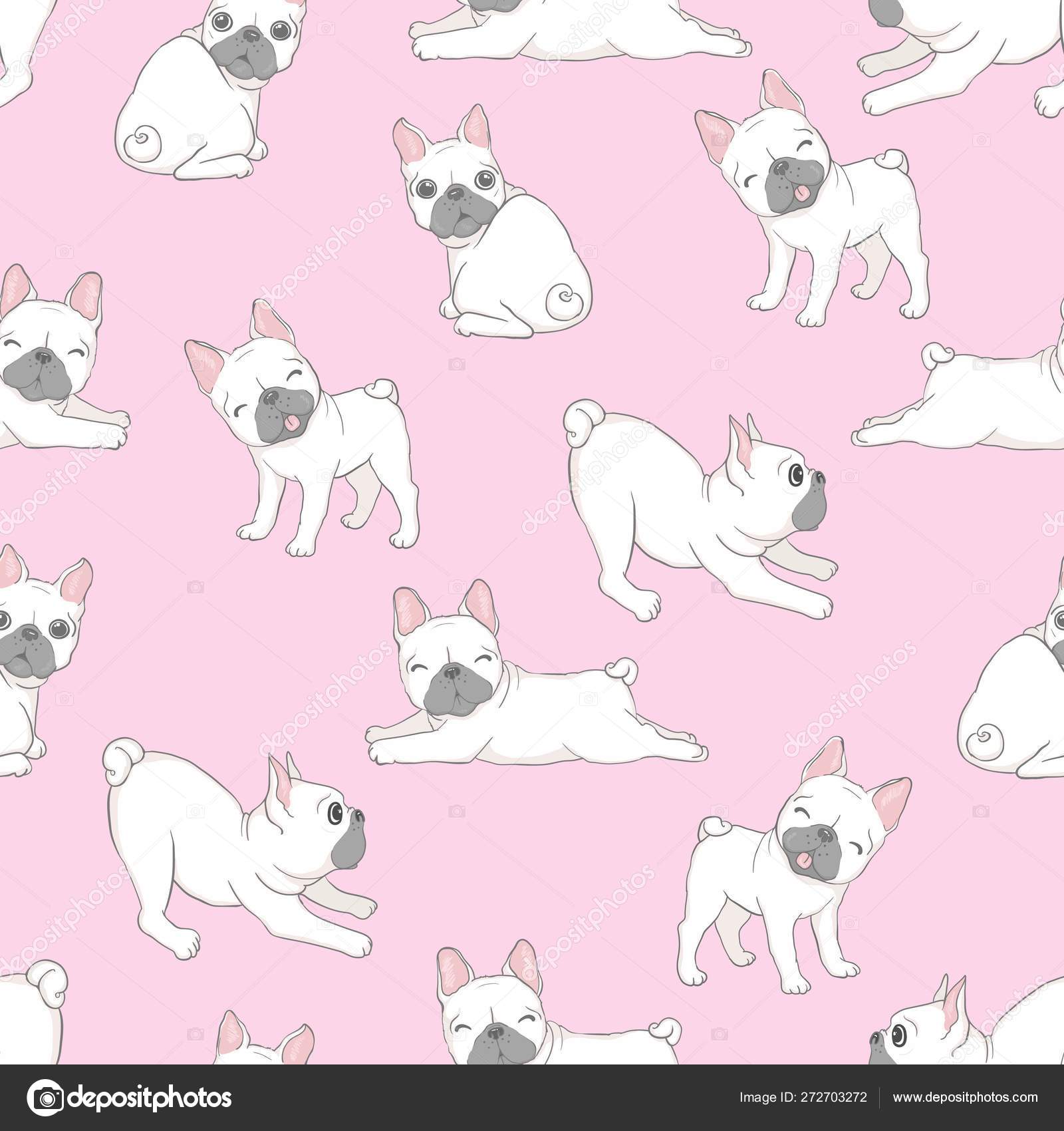 Fond Décran Chien Transparente Motif Bouledogue Français