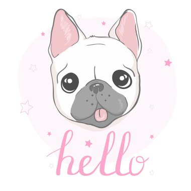 Fransız bulldog kafası beyaz arka planda izole edilmiş. Vektör illüstrasyonu