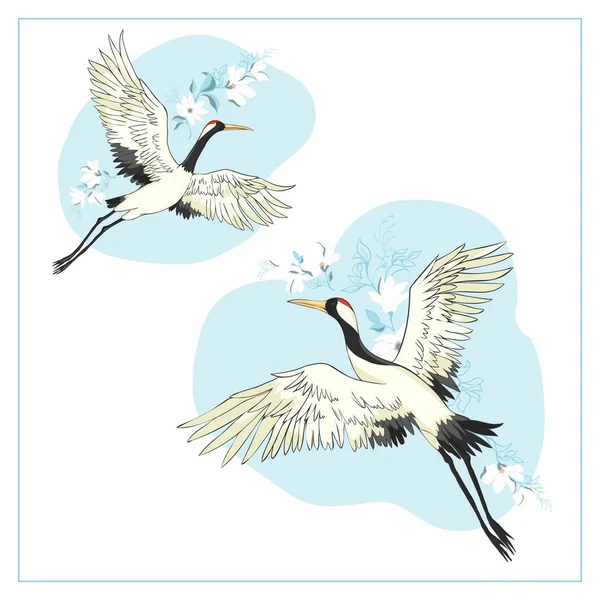 Een stel vogels. Kraan, ooievaar, reiger. Vector. — Stockvector