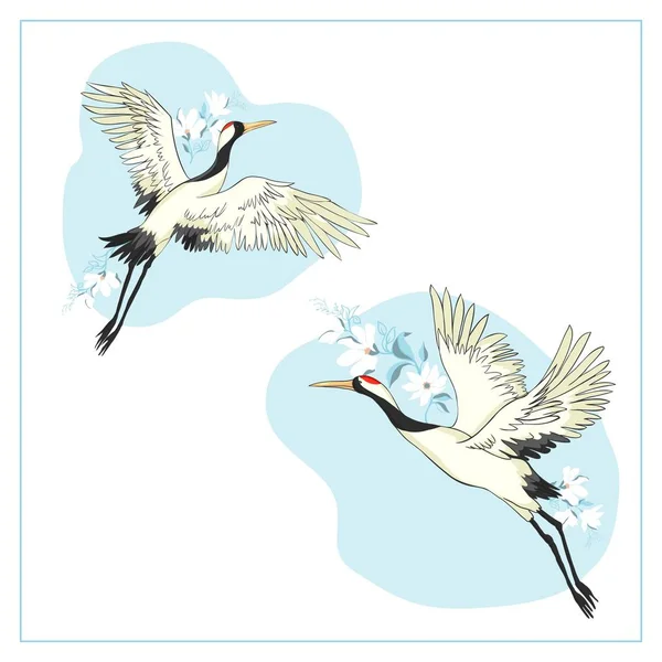 Een stel vogels. Kraan, ooievaar, reiger. Vector. — Stockvector