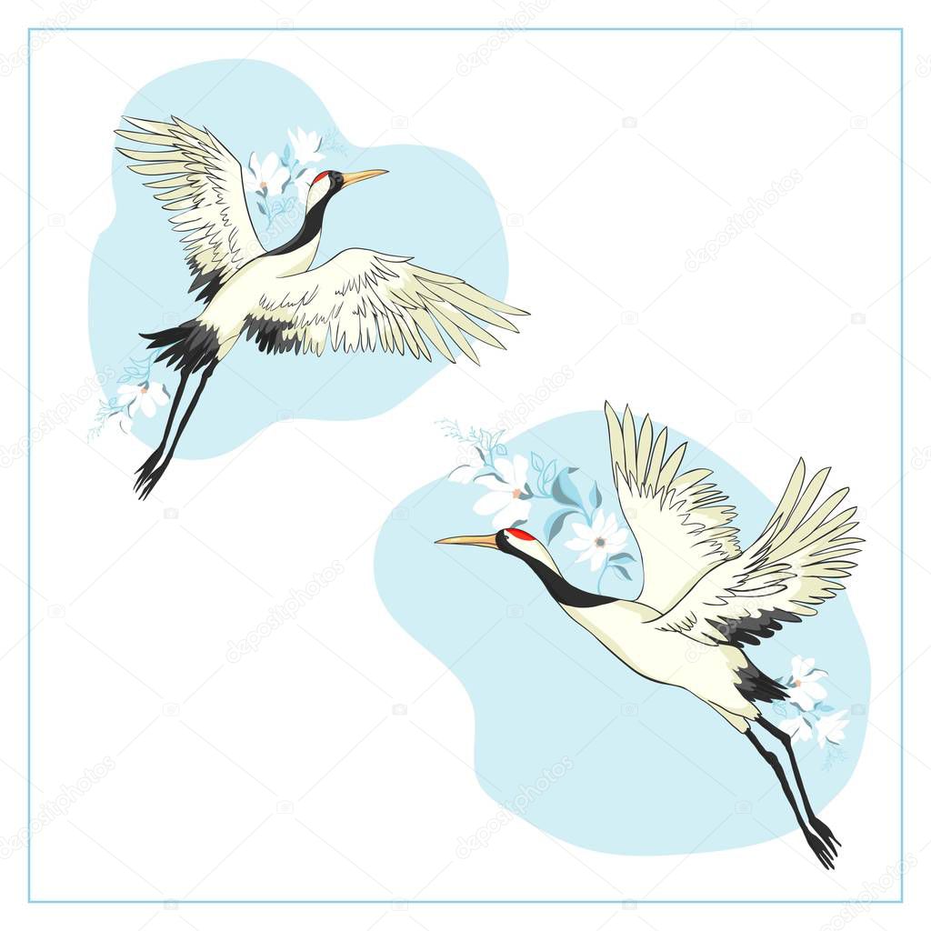 Set of birds. Crane, stork, heron. Vector.