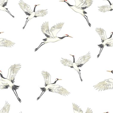 Dikişsiz desen, tropikal kuşlar ile arka plan. Beyaz balıkçıl, Kakadu papağan. Renkli ve anahat tasarım lacivert zemin üzerine... Vektör çizim. Siyah arka plan üzerine izole.