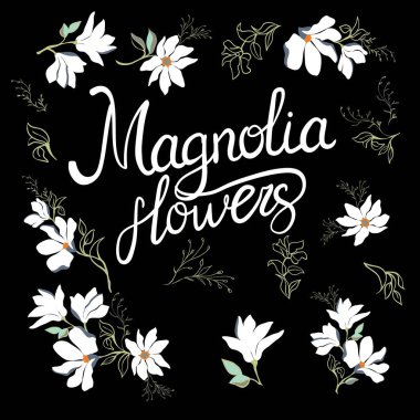 Manolya çiçekleri beyaz arka planda izole edilmiş dalda. Suluboya manolya kümesi.