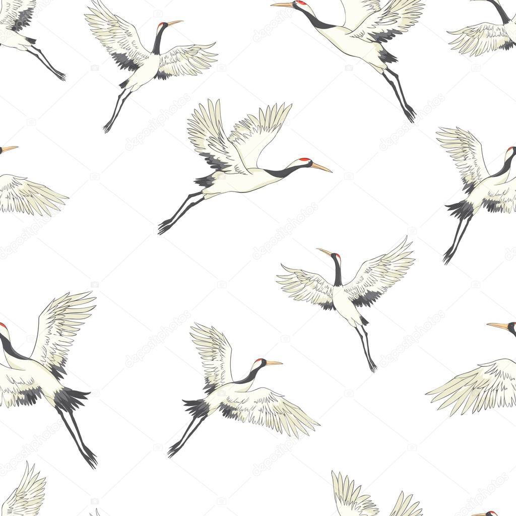 Seamless pattern, background with tropical birds. White heron, cockatoo parrot. Colored and outline design on navy blue background.. Vector illustration. Isolated on black background.