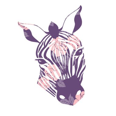 Beyaz arka planda komik karikatür zebralar ayarlayın. Gözlük ve balunlarla bisiklet üzerinde sevimli renkli bebek zebraları