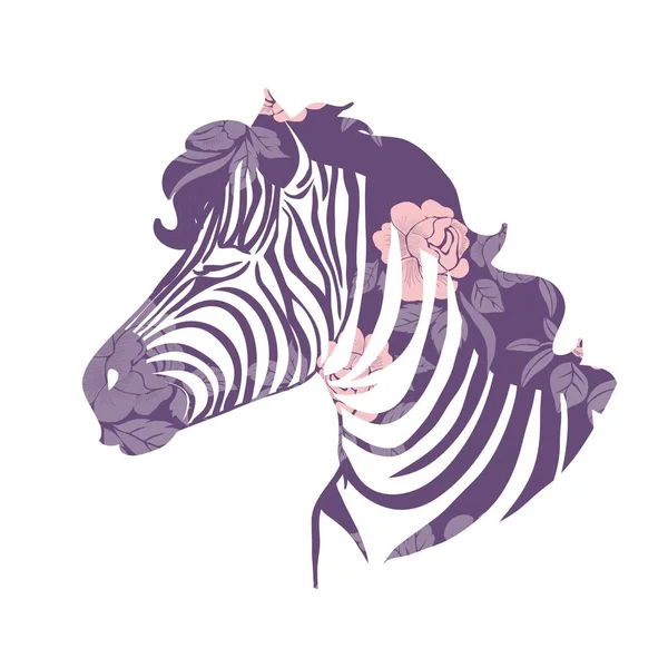 Uppsättning av roliga tecknad zebror på vit bakgrund. Söta färgglada baby zebror på cykel, med glasögon och baloons — Stock vektor