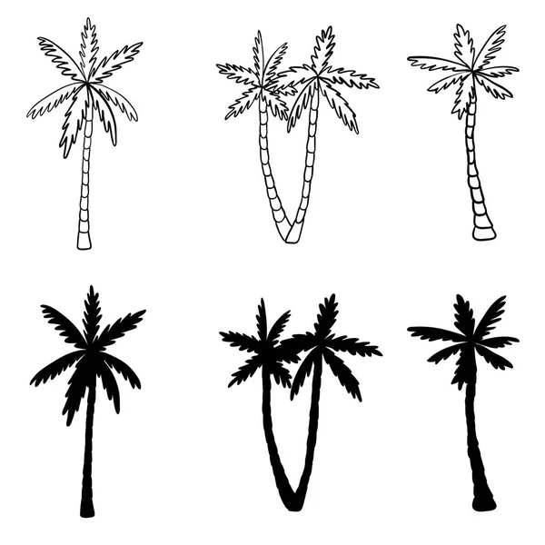 Palmiye Ağacı Simgeleri Siyah Siluetler Izole Tropikal Palmiye — Stok Vektör