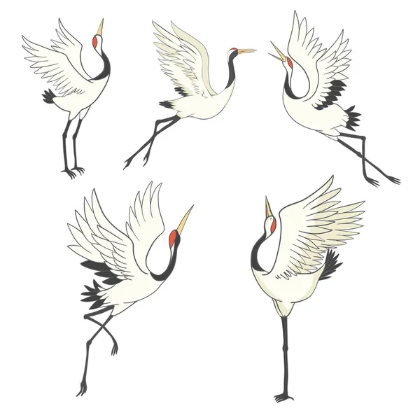 Ensemble Oiseaux Grues Illustration Sur Fond Blanc — Image vectorielle