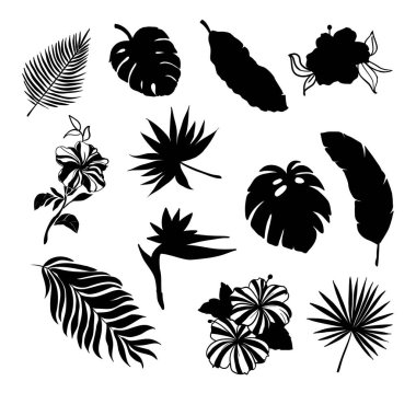 Banana Palm, Monstera, Fern, Cennet Kuşu, Plumeria, Heliconia, Hibiskus gibi siyah renkli çiçeklerle Tropikal Yapraklar Seti.
