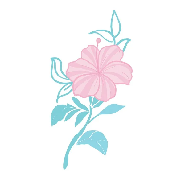 熱帯の花の要素 白い背景にハイビスカスの花のコレクション ベクターイラストバンドル — ストックベクタ