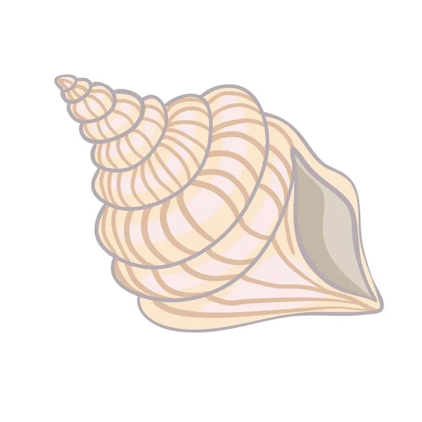 Textured Vector Illustration Isolated Peach Seashell — Stock Vector