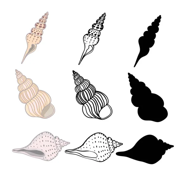 Hand Drawn Vector Illustrations Collection Seashells Marine Set — Stock Vector