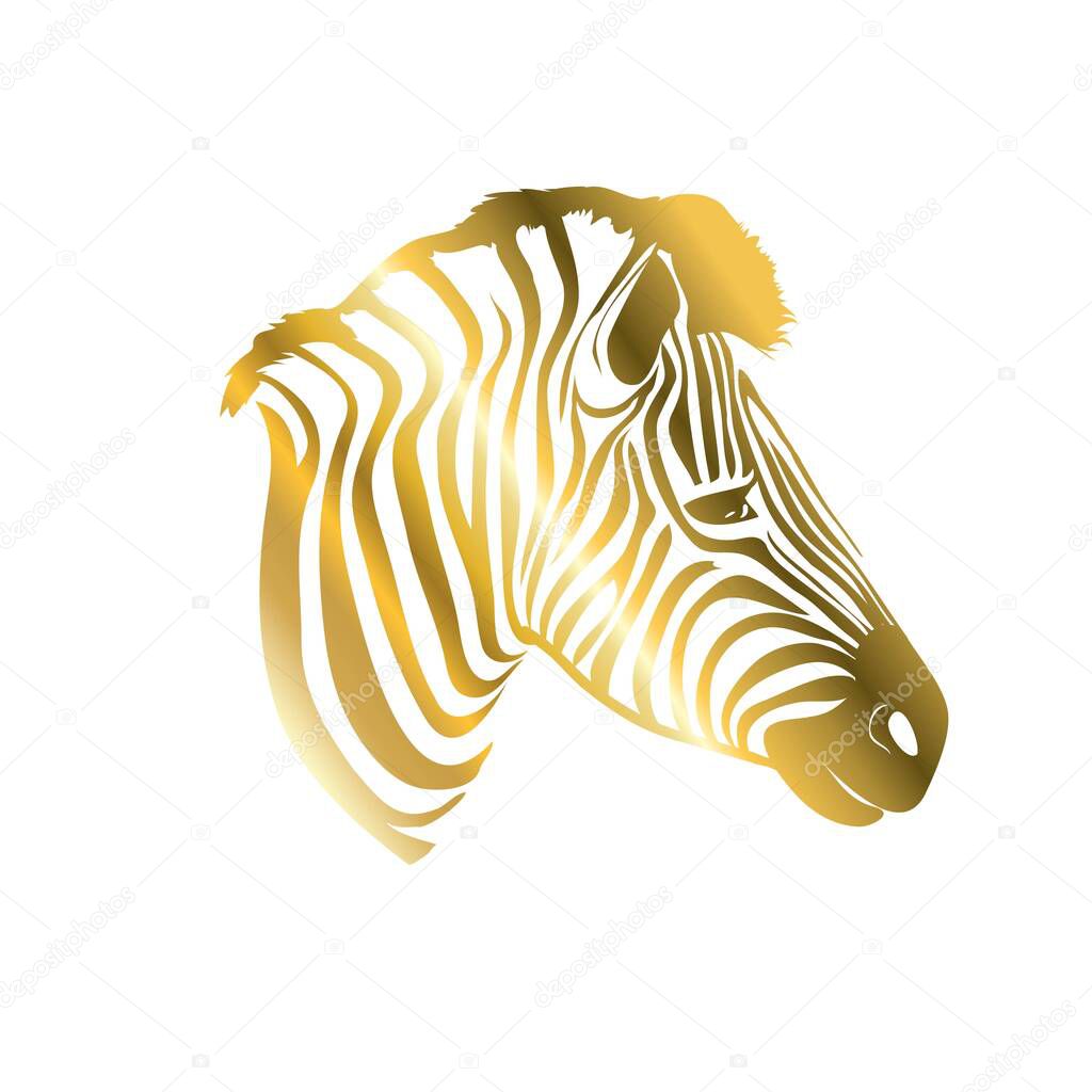 Golden Zebra silhouette. Vector illustration