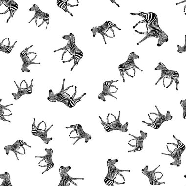 Vahşi hayvan zebra izi olan kusursuz çizim, beyaz arka planda siluet. Vektör illüstrasyonları.