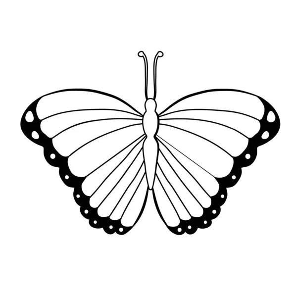 Ícone Gráfico Borboleta Tatuagem Borboleta Isolada Fundo Branco Vetor —  Vetores de Stock