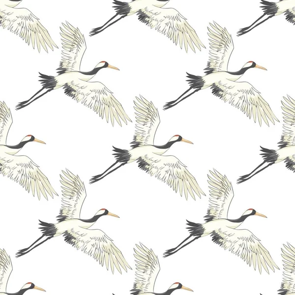 Zökkenőmentes Minta Háttér Madarakkal Fehér Heron Daru Vektor Illusztráció Fehér — Stock Vector