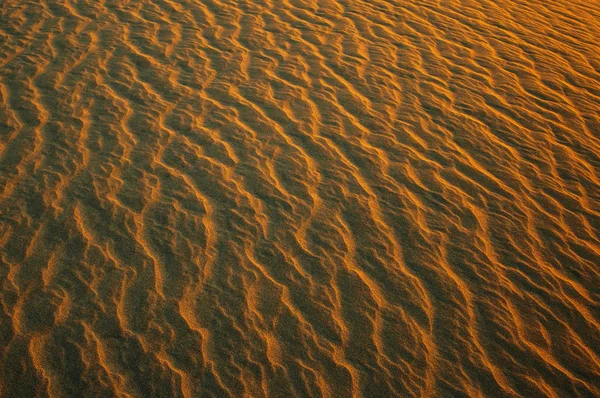 Luz Amanhecer Sobre Ondulações Areia Praia — Fotografia de Stock