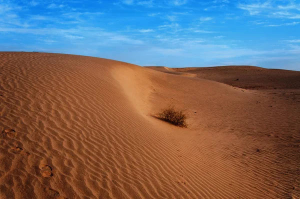 Dunes Sable Ciel Bleu Dans Désert Thar — Photo