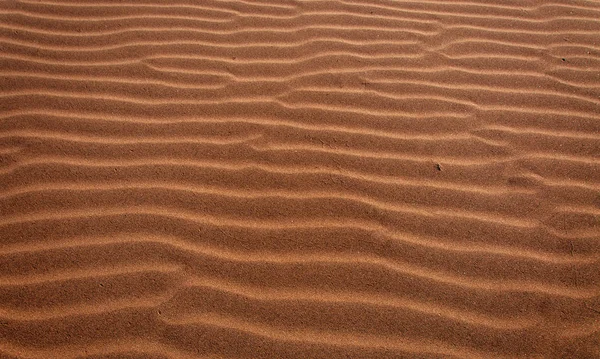 Vlnky Písku Sahara Poušť — Stock fotografie