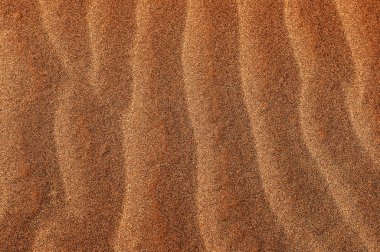 dalgaların çöl kum 